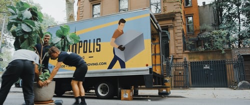 people pushing large house plant on wheels in foreground with moving truck in background